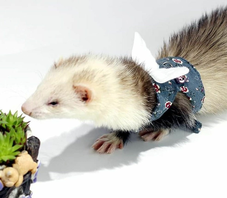 Small Animal HAICHEN TEC | Ferret Harness And Leash - Soft Mesh Small Pet Harness With Wings And Safe Bell, No Pull Comfort Padded Vest For Ferret, Guinea Pigs, Chinchilla And Similar Small Animals (Blue)