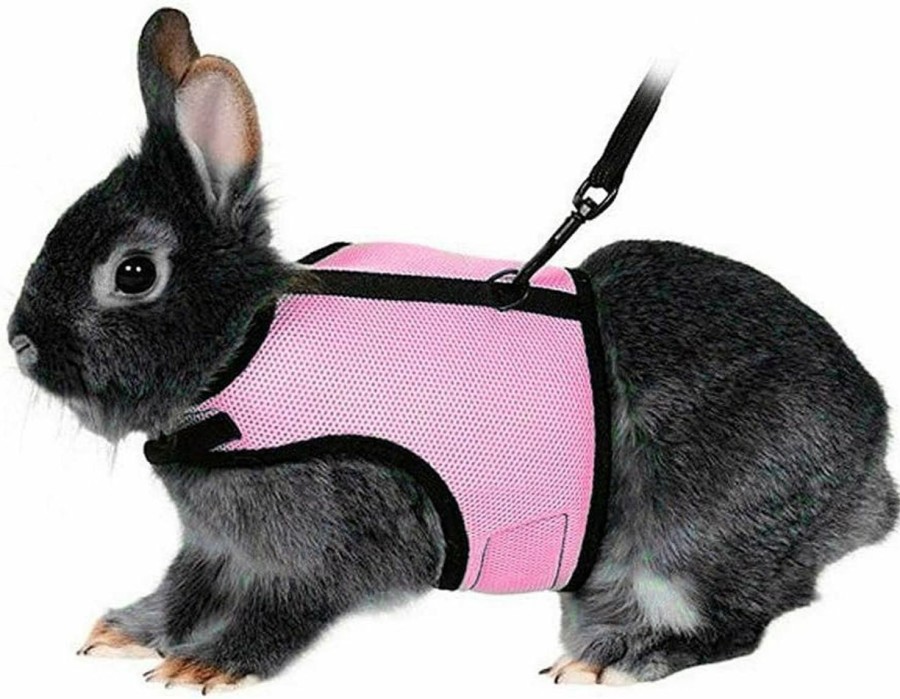 Small Animal POPETPOP | Popetpop Adjustable Pet Rabbit Bunny Harness And Leash - Soft Small Pet Outdoor Walking Running Harness With Lead - Small Animal Accessories - Size Xl (Pink)