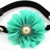 Small Animal PETFAVORITES | Petfavorites Rhinestones Daisy Flower Charm Suede Leather Dog Collar Breakaway Cat Collar Necklace Jewelry With Pearl For Small Dogs Girl Yorkie Chihuahua Birthday Clothes (Blue, Size S)