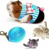 Small Animal Litewood | Litewood Hamster Outdoor Walking Vest Harness And Leash Set Cute Bow-Knot And Clear Bell Decor Chest Strap Harness For Rabbit Guinea Pig Chinchilla Ferret Squirrel Marten Kitten (Small,Blue Stripe)