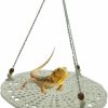 Small Animal kathson | Kathson Bearded Dragon Swing Hammock,Reptile Hanging Woven Bed Reptiles Habitat Accessories With Metal Hooks And Lizard Toy For Leopard Gecko Lizards Chameleon Snake (Beige)