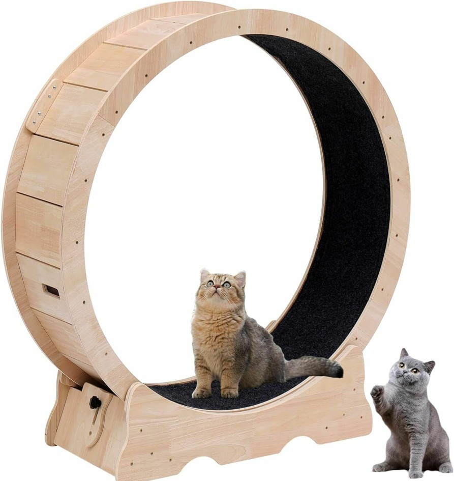 Small Animal HXGONYI | Cat Exercise Wheel Cat Running Wheel Cat Sport Treadmill For Indoor Cat,Kitty Cat Sport Toy,Natural Wood Cat Sport Wheel For Pet Loss Weight And Daily Exercise