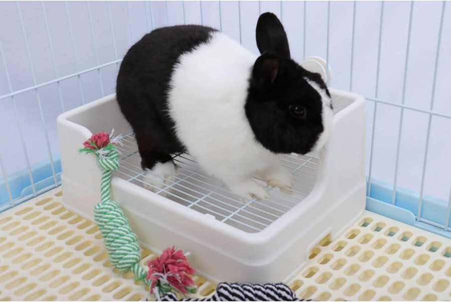 Small Animal RUBYHOME | Rubyhome Large Rabbit Litter Box 14\" X 9.4\" Bunny Toilet Two-Layer Design Rabbit Litter Pan For Cage, Bunny Restroom Litter Tray