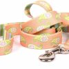 Small Animal Yellow Dog Design | Yellow Dog Design Melon Paisley Dog Leash, X-Large-3/8 Wide And 5' (60\") Long