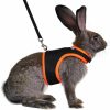 Small Animal Niteangel | Niteangel Adjustable Soft Harness With Elastic Leash For Rabbits (L, Blue)