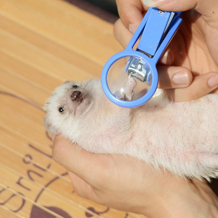 Small Animal Frjjthchy | Pet Hamster Hedgehog Nail Clipper Trimmer Small Animal Toenail Clippers With Magnifier (Random Color)