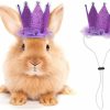 Small Animal Generic | 2Pcs Rabbit Bunny Hat Hamster Guinea Pig Mini Caps,Festival Party Small Animals Crown Headwear Accessories For Pets (Pink&Purple)