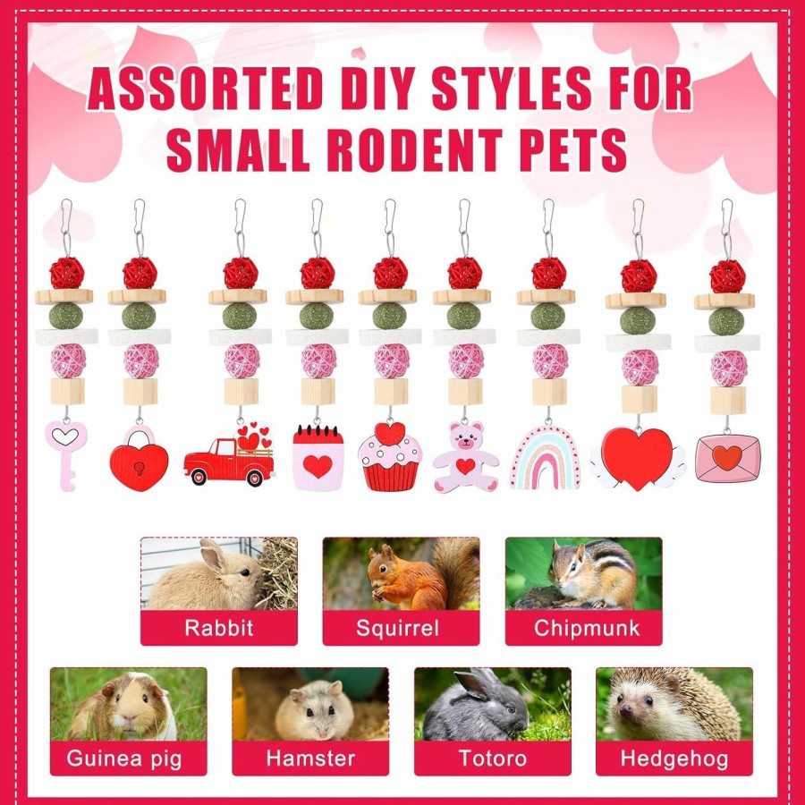 Small Animal Shappy | Shappy 9 Pcs Valentine'S Day Guinea Pig Toys Treats Valentine'S Day Bunny Rabbit Hamster Toys For Teeth Grinding Heart Valentine'S Day Cage Hanging Accessories For Small Pets Gifts