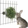 Small Animal Wontee | Rabbit Hay Ball Stainless Steel Hanging Feed Dispenser For Bunny Hamster Guinea Pig Rat Chinchilla (A: 5.11Inch, Silver)