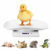 Small Animal LFGKeng | Digital Mini Pet Scale, Small Animal Weight Scale, Portable Lcd Electronic Weighing Scale With Tray(Max. 22 Lbs), Multifunction Kitchen Scale For Food/Puppy/Kitten/Lizard/Hamster/Tortoise/Whelping