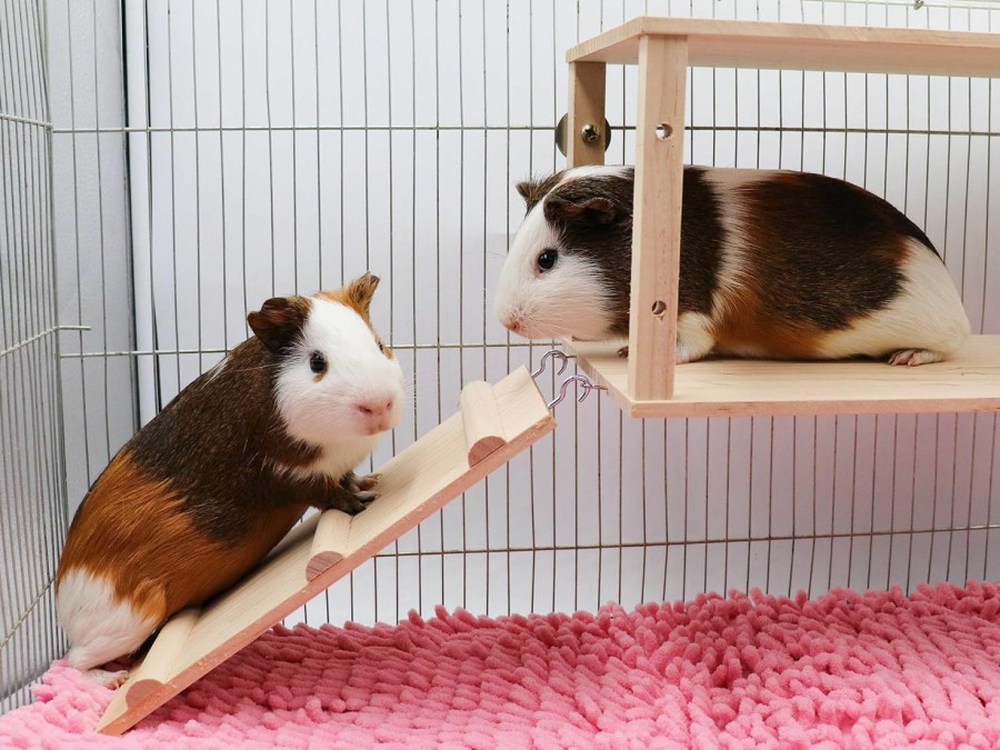 Small Animal Oooct | Oooct Guinea Pig Hideout With Climbing Steps, Wooden Rat Climbing Toys, Small Animal Houses & Habitats, Cage Accessories For Rats Chinchilla Guinea Pigs Gerbil Chinchilla