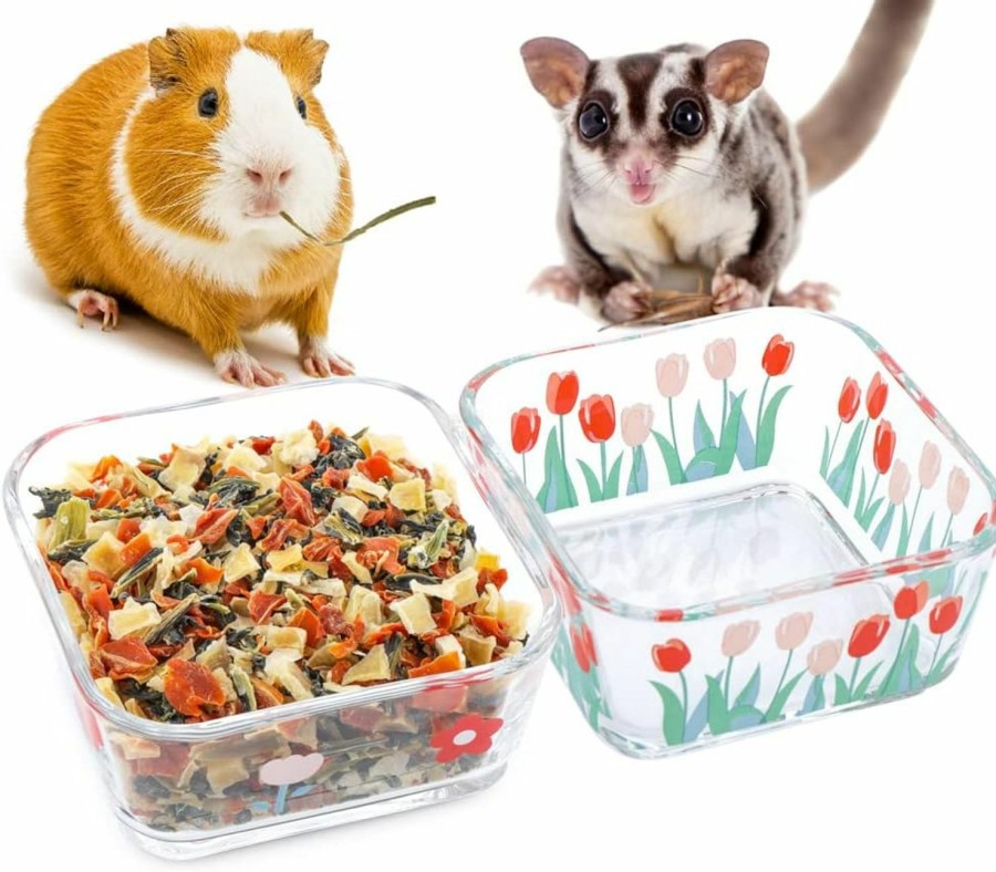 Small Animal DQITJ | 2 Pcs Small Animals Glass Food Bowl And Water Dish Prevent Tipping Moving Feeder For Guinea Pig Sugar Glider Hedgehog Squirrel Mouse Rat Chinchilla Hamster