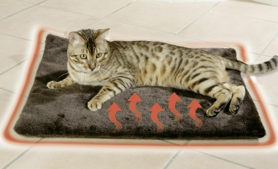 Small Animal Apollo Exports International | Apollo Exports International Thermal Pet Blanket, Small