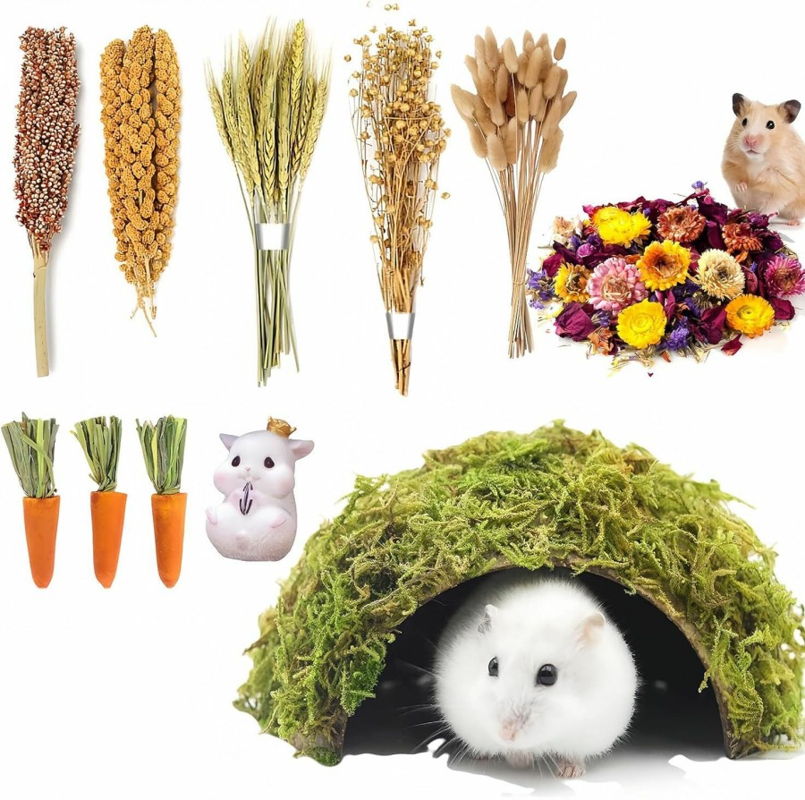 Small Animal RE RELIURE | Re Reliure Hamster Cage Accessories, Natural Hamster Spray Hamster Chew Food Including Grains, Hamster Bedding And Habitat Decoration, Hamster Accessories, Gerbil Feed