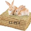 Small Animal PINVNBY | Pinvnby 6 Pack Rabbit Grass Mat,Bunny Natural Straw Woven Bed,Small Animal Cages Hay Nest Sleeping,Chewing,Nesting And Toys For Rabbits Guinea Pig Hamster Hedgehog And Squirrel Bed Mat