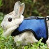 Small Animal JuWow | Bunny Rabbit Harness And Leash, Harness Adjustable Buckle Breathable Mesh Vest For Bunny Rabbits Walking Runnig Hiking Camping Outdoor (Chest:10.8-12.9 In, Pink)