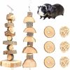 Small Animal S-Mechanic | S-Mechanic Bunny Chew Toys Natural Apple Wood Small Animal Chew Toys For Rabbits Chinchilla Hamsters Guinea Pigs Gerbils (Pack 1)