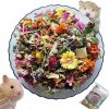 Small Animal BUSOIYOU | Busoiyou Natural Floral And Herbal Hamster Cage Decoration Supplies - Habitat Decoration For Hamsters, Gerbils, Degus Or Other Small Pets (Flowers And Plants)