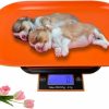 Small Animal Flyvyan | Flyvyan Digital Pet Scale, Puppy Scale For Whelping, Kitten Scale With Foldable Led Display, Small Animal Scale For Dog/Cat/Rabbit/Hamster, Kitchen Scale With Removable Tray (Orange&Black)