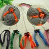 Small Animal F-P | F-P 1Pcs Parrot Bird Pigeons Harness & Leash Anti-Bite Adjustable Multicolor