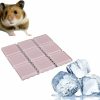 Small Animal Generic | Summer Cooling Comfort Bed For Hamster And Small Pet, Size : 80X80 Mm (Blue)