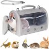 Small Animal Parhjiv | Parhjiv Guinea Pig Backpack Carrier, Rat Carrier, Squirrel Breathable Portable Travel Small Animal Carrier Cage For Hedgehog Hamster Lizard Bunny Rabbit Bearded Dragon (Small, Gray)