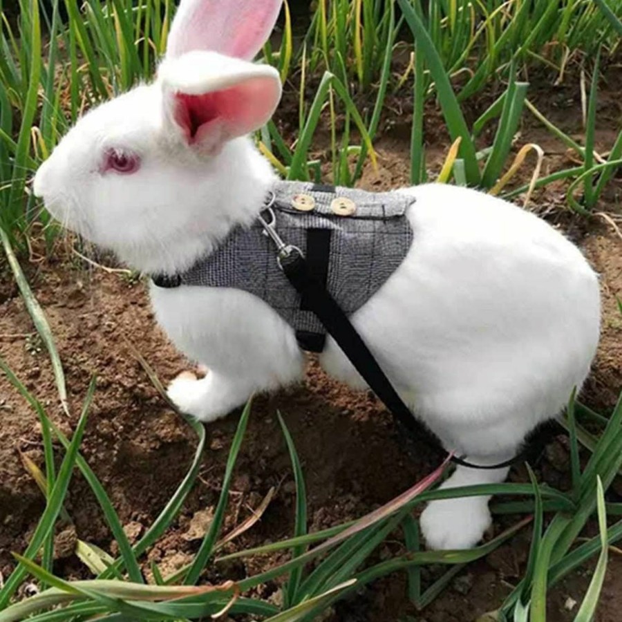 Small Animal ZLXHDL | Rabbit Harness, Escape Proof Rabbit Clothes Soft Rabbit Breathable Harness With Leash Gentlemanly Style For Outdoor Active(M)