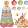 Small Animal DAMPET | Bunny Toys,14 Pack Rabbit Toys Stacking Cups For Rabbits,Multi-Color Reusable Rabbit Enrichment Toys, Safety Plastic Inlay Toys For Bunny, Rabbits, Hamster And Other Small Animals Hiding Food And Play