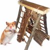 Small Animal Hamiledyi | Hamiledyi Wooden Hamster Climbing Toy Guinea Pigs Activity Perch Platform Steps Stairs Gerbil Hanging Chew Tunnel Tube With Apple Wood Bridge