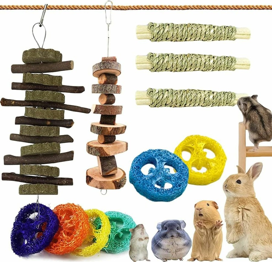 Small Animal Dbeans Flourithing | 13Pcs Guinea Pigs Toys, Rabbit Toys Set Natural Wooden Hamster Toys For Teeth Care, Best Choose For Rabbit Guinea Pig Rat Bunny Chinchillas Gerbils Chew