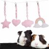 Small Animal ROZKITCH | Rozkitch 4Pcs Guinea Pig Hamster Hanging Toy, Pink Small Animal Case Accessories Kits, Pet Cage Pendant, Photo Props For Pet Rat,Ferret, Guinea Pig, Squirrel, Rabbits, Mice And Gerbil Rainbow