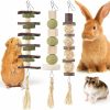 Small Animal Bissap | Bissap 3Pcs Bunny Chew Toys, Natural Hanging Rabbit Chew Toy Treats For Guinea Pigs Hamsters Gerbils Chinchilla And Other Small Pets For Teeth Grinding