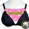 Small Animal tinkare | Sugar Glider Bra Pouch With Window Screen Bra Bonding Pouch For Gliders Ferret Rat Small Pets Triangle Design