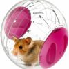 Small Animal emours | Pets Small Animals Run-About Mini 4.7Inch Exercise Balls For Dwarf Hamsters,Pink