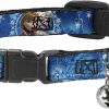 Small Animal Buckle-Down | Buckle-Down Breakaway Cat Collar - Anna & Elsa Poses/Castle & Mountains Blues - 1/2\" Wide - Fits 6-9\" Neck - Small