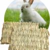 Small Animal Sukh | Sukh 2 Pcs Rabbit Grass Mats - Natural Hay Woven Bunny Rabbit Bad Cage Mats Pet Bedding Cooling Sleeping Nesting & Toys For Hamster Bunny Chinchilla Guinea Pig Mouse Bird And Other Small Animal