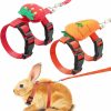 Small Animal CHENGU | 2 Pack Adjustable Rabbit Harness And Leash Bunny Harness Leash Set Harness Leash For Rabbit Kitten Puppy Pig And Small Pet Animals (Carrot, Strawberry)