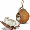 Small Animal SunGrow | Sungrow Coconut Hamster House With Ladder With Opening Hole, Nesting Home And Feeder With Hanging Loop