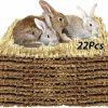 Small Animal Tfwadmx | Tfwadmx 22 Pcs Seagrass Pet Bed Mat For Rabbit, 11 X 8.3 In