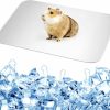 Small Animal Ripeng | Bunny Cooling Pad Rabbit Hamster Cooling Mat Chinchillas Cooling Pad Aluminum Silver Metal Summer Cooling Mat For Hamster Bunny Guinea Pig And Other Small Pets