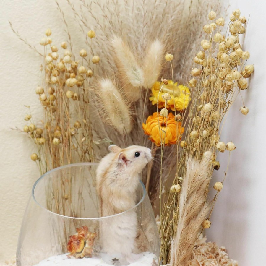 Small Animal Oooct | Oooct Hamster Bedding, Natural Flowers Herbs Cereal Grain Decor For Hamster Houses And Hideouts, Small Animal Cages And Habitats Accessories, Suitable For Hamster Rat Gerbil Guinea Pig