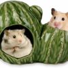 Small Animal CheeFun | Cheefun Ceramic Hamster Hideout House: Cactus Pet Hideout Hut Cave With Double Doors - Habitat Decor For Dwarf Hamsters Gerbils Mice Small Animals (Light Green)