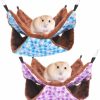 Small Animal Sun Terriory | 2 Pcs 13.7 13.7Inch Small Guinea Pig Rat Hammock Guinea Pet Small Animal Hanging Hammock Bunkbed For Sugar Glider Squirrel Playing(Blue And Purple)