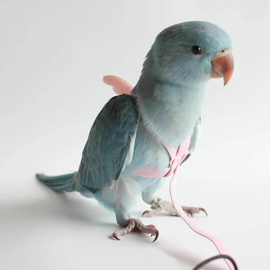 Small Animal Gigicloud | Gigicloud Parrot Harness Leash Ultra-Light Adjustable Bird Harness And Leash Outdoor Flying Training Rope Bird Accessories Small To Medium Breed Parrots Fits Birds Chest