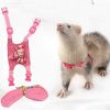 Small Animal Novo Tee | Small Animal Outdoor Walking Vest Harness And Leash Set With Cute Bowknot And Clear Bell Decor Chest Strap Harness For Bunny Ferret Guinea Pig Hamster Kitten Clothes Accessory (S)