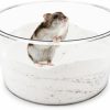 Small Animal Wontee | Wontee Hamster Sand Bath Sand Box Container Digging Hamster Bathroom For Hamsters Mice Syrian Hamsters Gerbils Small Animals (Square- 7.9\" X 5.9\")