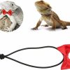 Small Animal CUTULAMO | Cutulamo Bearded Dragons Bowtie Set, Exquisite Lizard Bow Leash Set Safe Lovely For Hamsters For Outdoor For Lizards(Red Bow Tie)