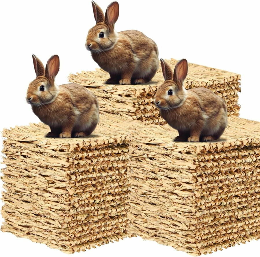 Small Animal Suzile | Suzile 50 Pack Rabbit Grass Mat Woven Bed Mat Natural Straw Hay Mats Bunny Grass Mat Small Animal Hay Bedding Nest For Guinea Pig Chinchilla Hamster Rat Hedgehog Sleeping Chewing Nesting, 2 Sizes