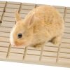 Small Animal Wontee | Rabbit Scratching Pad Bunny Feet Pad Lava Grinding Chew Toy For Rabbit Chinchilla Guinea Pig Ferrets (B)