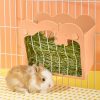 Small Animal septillar | Rabbit Hay Feeder, Hanging Feeding Hay Rack For Small Animals Rabbit, Dwarf Rabbit, Guinea Pig (Blue)